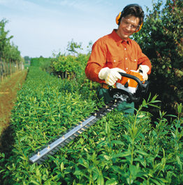 Hedge Trimming